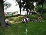 pauza